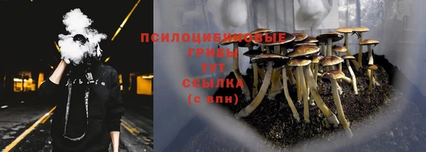 mdpv Абдулино