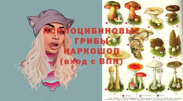 кристаллы Абаза