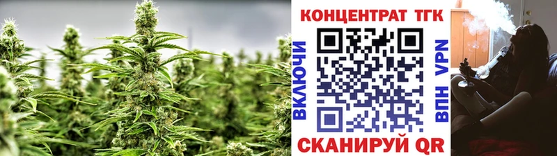 где найти Новочебоксарск ТГК гашишное масло